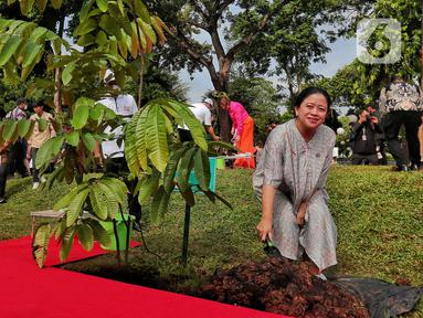 Ketua DPR Puan Maharani melakukan penanaman pohon bersama para delegasi yang hadir pada acara P20 di Taman Energi, Kompleks Parlemen MPR/DPR-DPD, Senayan, Jakarta, Jumat (7/10/2022). Penanaman pohon ini merupakan rangkaian The 8th G20 Parliamentary Speakers’ Summit (P20) yang hari ini merupakan penutupan. (Liputan6.com/Angga Yuniar)