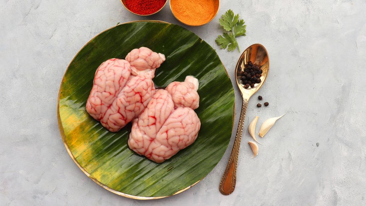 Tips Merebus Otak Sapi agar Tidak Mudah Hancur dan Tetap Utuh, Simak Langkah-Langkahnya