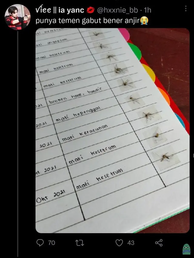 7 Potret Nyeleneh Orang Koleksi Mayat Nyamuk, Ada yang Sampai Bikin Komik