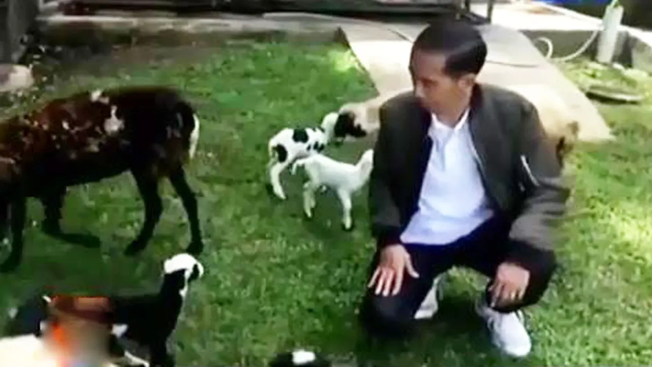 Jokowi