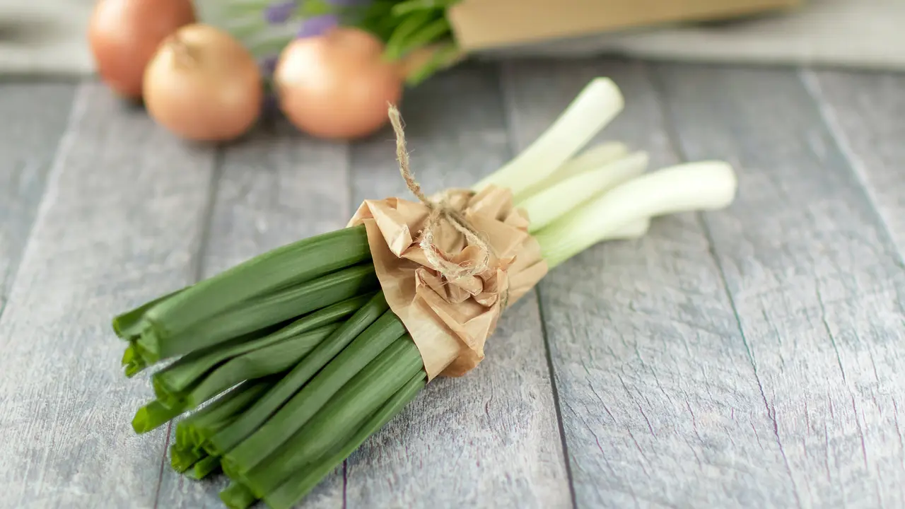 Daun Bawang Prei