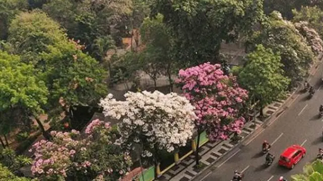 (Foto: Instagram @Surabaya)