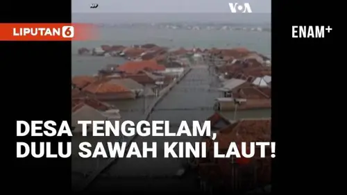 VIDEO: Kisah Desa Nyaris Tenggelam, Dulu Sawah Kini Laut!