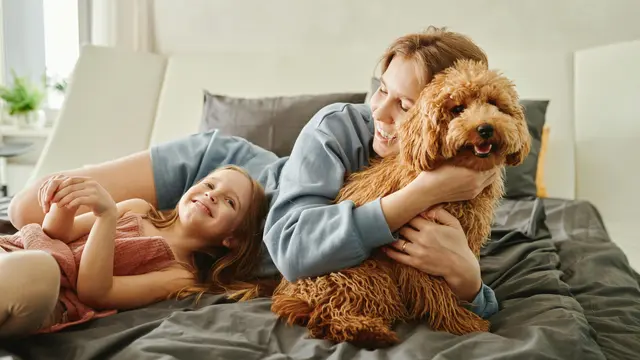 Mengurangi Stres dan Kecemasan