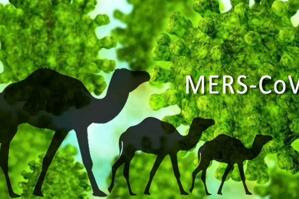 Ilustrasi Penyakit Mers CoV 
