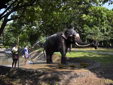 Para pawang memandikan seekor gajah di taman umum pada hari pertama prosesi Buddhis Navam tahunan dua hari terbesar di kota itu, yang juga dikenal sebagai festival Perahera, di Kolombo (15/2/2022). (AFP/Ishara S. Kodikara)