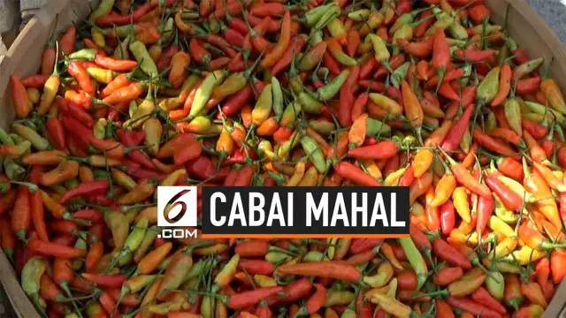 Harga cabai melambung tinggi capai 80 ribu rupiah/ kilogram. Sejumlah PNS di Kediri Jawa Timur malah menjajakannya di pinggir jalan dengan harga lebih murah. Kok bisa?