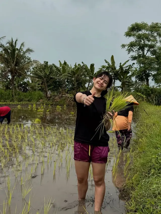 Niat Lari Pagi, Intip 5 Potret Sintya Marisca Berakhir Nyemplung ke Sawah Bantu Petani Menanam Padi (credit: instagram.com/sintyamarisca).