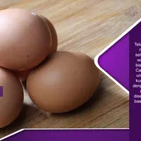Telur. (Foto: Adrian Putra/Bintang.com, Digital Imaging: Nurman Abdul Hakim/Bintang.com).