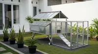 Cara Membuat Kandang Ayam Portable Sendiri yang Kuat dan Mudah Dipindahkan