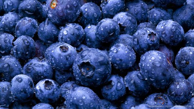 [Bintang] 8 Makanan yang Bisa Meningkatkan Fokus dan Memori di September