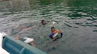 Kementerian Kelautan dan Perikanan melepasliarkan 115.860 benih bening lobster sitaan. Pelepasan dilakukan di perairan Pesawaran, Lampung.