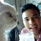 Selfie Yuk kucing Bersama Kucing Persia dan Himalaya