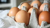 Wadah Telur Bekas Bisa Buat Apa? 9 Ide Kreatif Daur Ulangnya