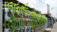 5 Ide Kebun Timun Vertikal dari Galon Bekas yang Cocok untuk Halaman Sempit, Tetap Estetik