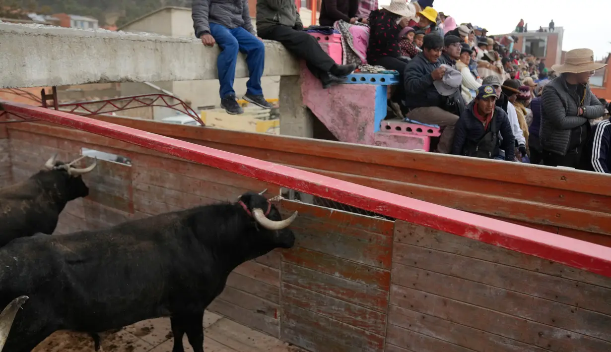 <p>Penonton menyaksikan adu banteng saat banteng menunggu untuk memasuki ring dalam Festival Our Lady of the Rosary di Desa Andes Huarina, Bolivia, Senin (3/10/2022). Sekelompok matador amatir melakukan parodi dari adu banteng Spanyol, tetapi tanpa mengorbankan sapi jantan. (AP Photo/Juan Karita)</p>