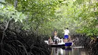 Anggota &quot;The Nature Conservancy&quot; Indonesia memantau hutan bakau di Desa Jungutbatu, Pulau Nusa Lembongan, Bali. Kawasan tersebut, saat ini dikembangkan menjadi kawasan ekowisata.(Antara)