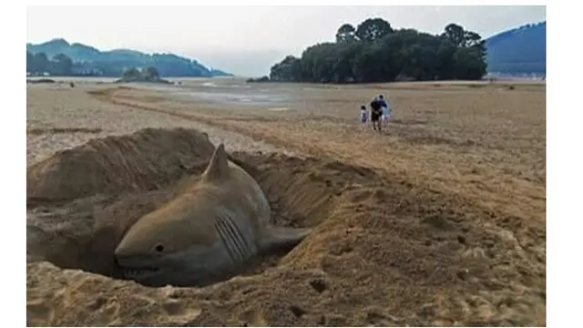 Hanya dengan Pasir, 7 Patung Karya Pria Ini Terlihat Sangat Nyata