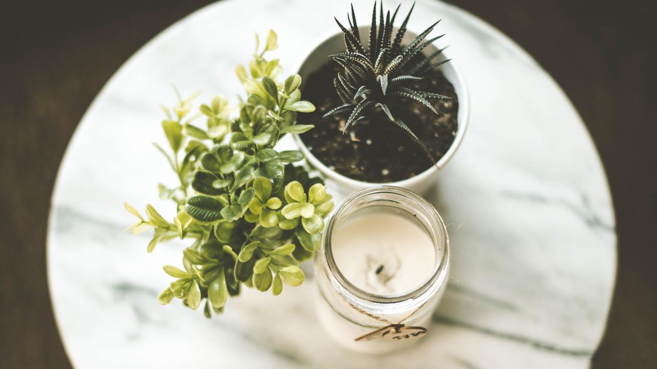 Ilustrasi Lilin dan Tanaman