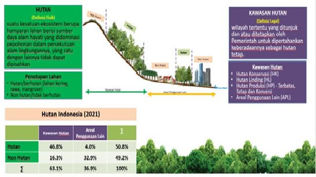 Cerita Akhir Pekan: Kabar Laju Deforestasi di Indonesia Jelang Hari Pohon Sedunia