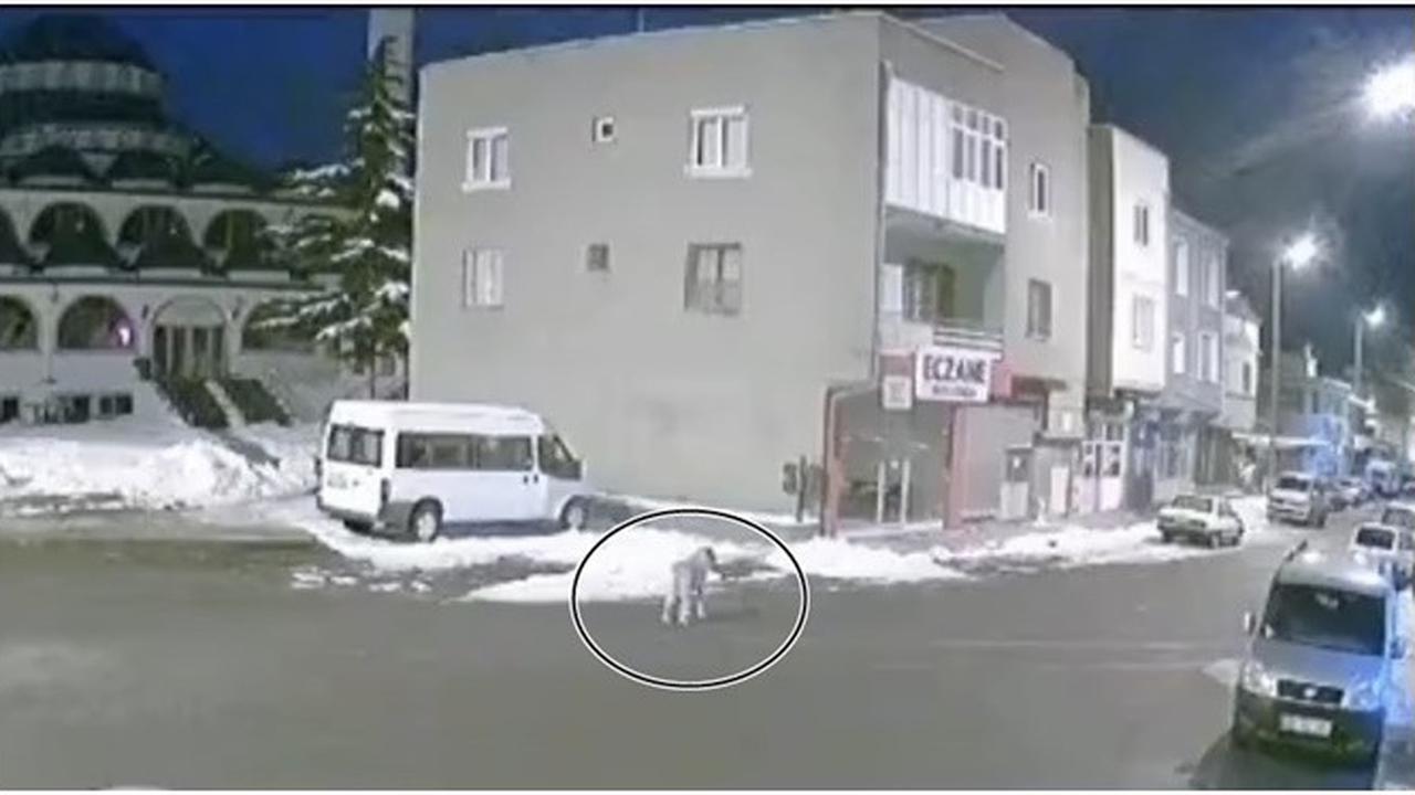 Anjing Terus Menggonggong Sebelum Gempa Turki, Diduga Isyaratkan Pertanda Bencana