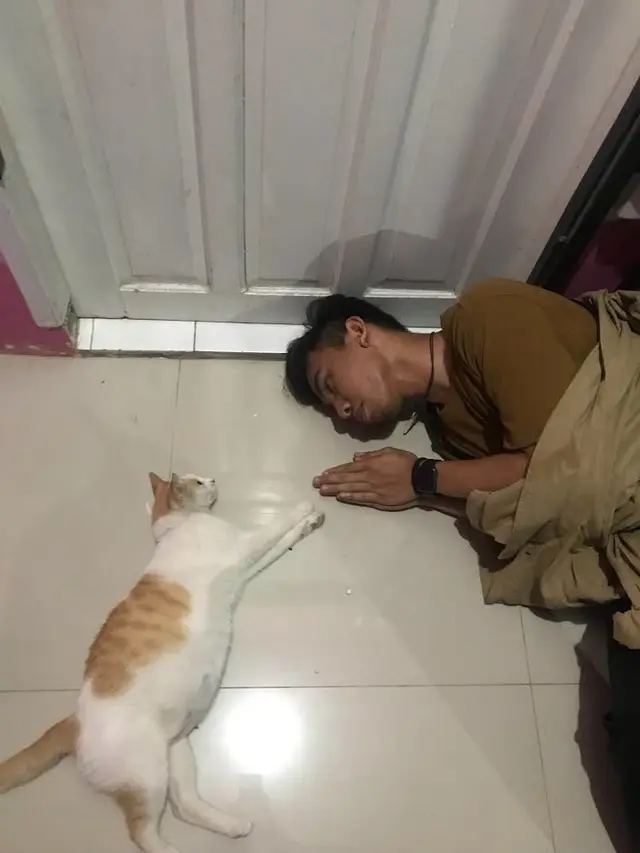 5 Potret Kelakuan Manusia Tiru Pose Kucing Ini Bikin Ketawa