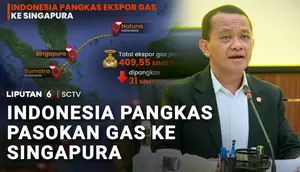Pasokan Gas ke Singapura Dipangkas, RI Utamakan Kebutuhan Dalam Negeri