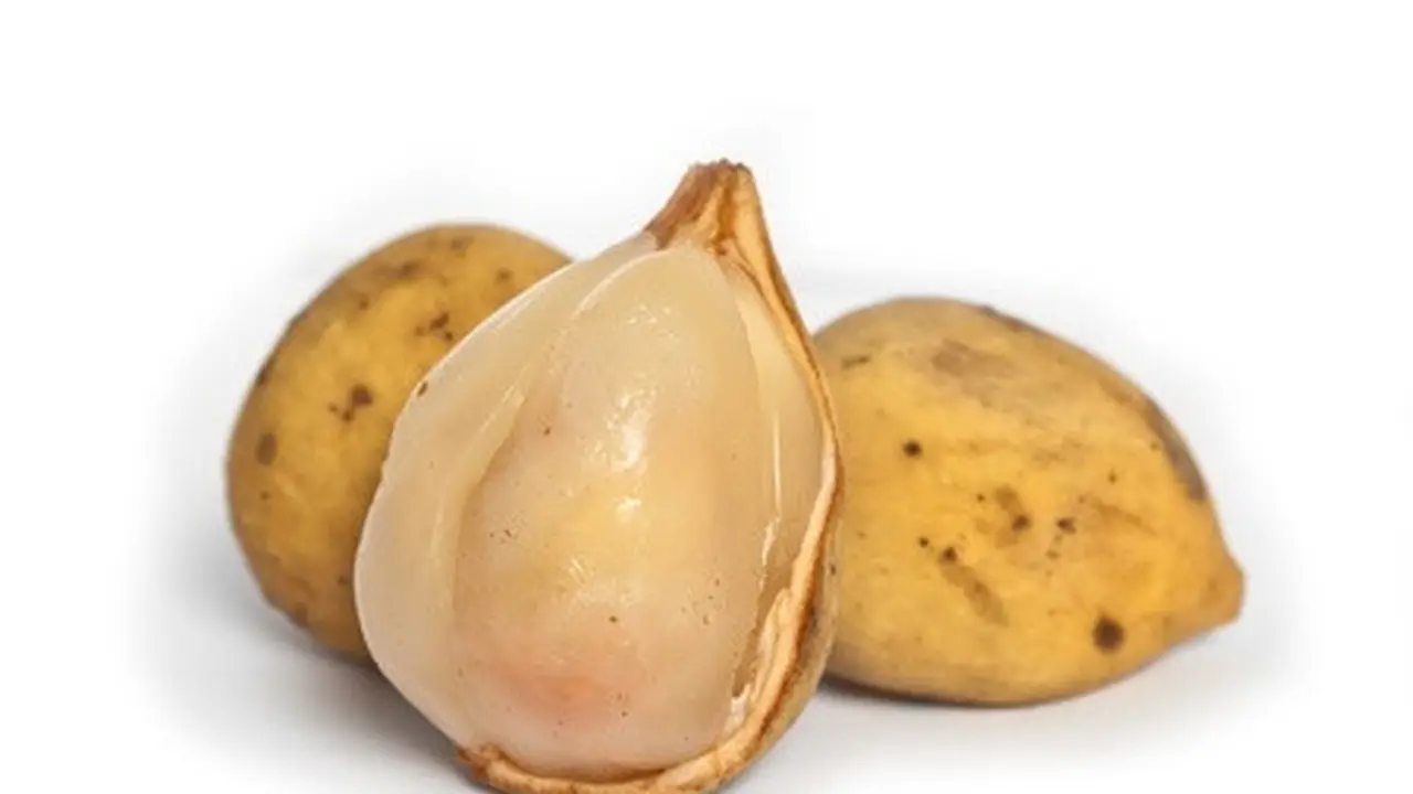 Manfaat Buah Duku