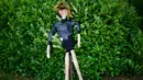 Orang-orangan sawah dari penyanyi Tina Turner berdiri di sebuah semak saat Festival Scarecrow di Heather, Inggris, 28 Juli 2015. Festival sejak 1999 ini selalu menarik perhatian wisatawan mancanegera  untuk berdatangan ke Inggris. (REUTERS/Darren Staples)