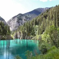 Meski meninggalkan sekeping misteri, hutan tenggelam di Kazakhstan ini punya pesona epik yang sulit didapati di tempat lain.