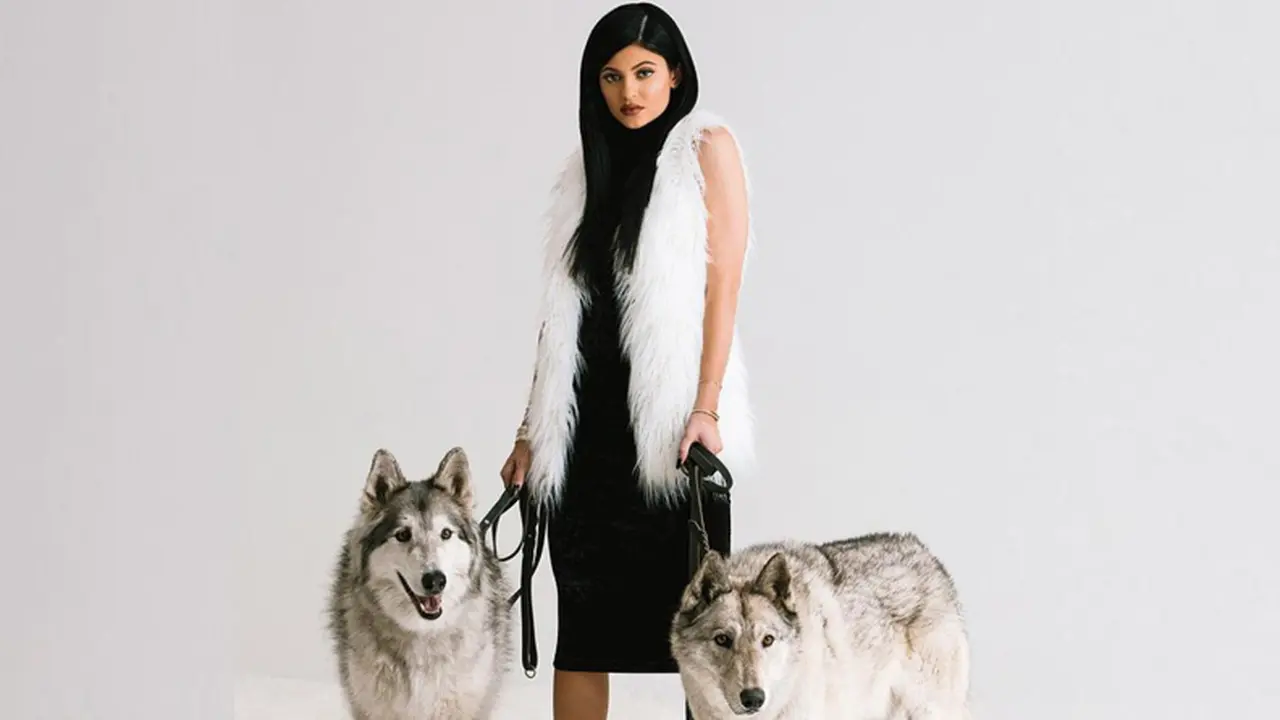 Kylie Jenner 