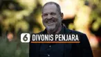 THUMBNAIL WEINSTEIN