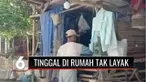 Dua keluarga di Brebes, Jawa Tengah, tinggal di atas panggung bambu karena kondisi rumahnya sangat rapuh dan tak layak huni. Menurut Kades setempat, anggaran dana desa tidak bisa dialokasikan untuk renovasi rumah tidak layak huni.