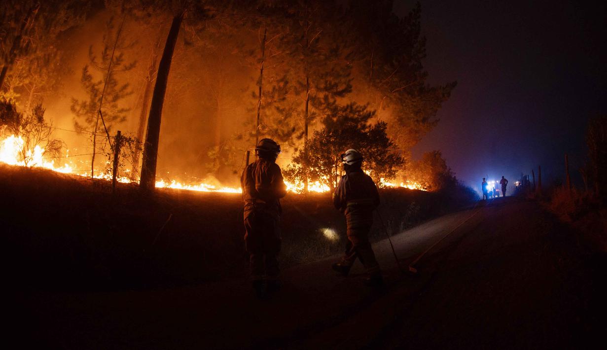 Otoritas Chile telah melakukan evaluasi massal di sejumlah wilayah lantaran puluhan titik api masih aktif dan sulit dikendalikan. Tampak dalam foto, petugas pemadam kebakaran bekerja di samping vegetasi yang terbakar selama kebakaran hutan di kota Florida dekat kota Concepcion, Chile, pada Senin 19 Januari 2026. (Raul BRAVO/AFP)