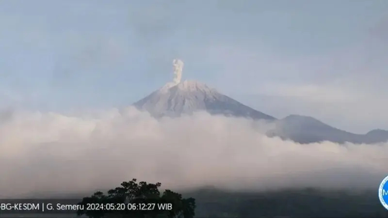 Gunung Semeru erupsi disertai luncuran awan panas (Istimewa)