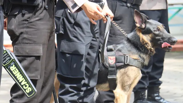 Kepolisian mengerahkan Unit K-9 untuk sterilisasi gereja jelang ibadah Misa Natal 2022. (Foto: Liputan6.com/Polres Pemalang)