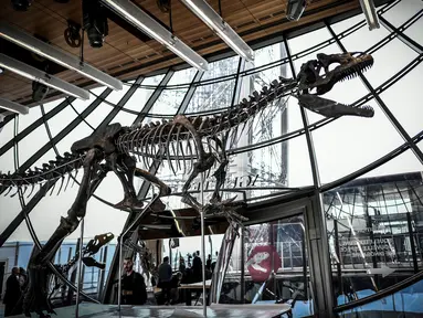 Kerangka dinosaurus yang sangat langka dipajang di lantai pertama Menara Eiffel, Paris, 2 Juni 2018. Kerangka yang diyakini sebagai dinosaurus spesies baru itu berhasil terjual seharga 2 juta euro atau lebih dari Rp 32 miliar. (AFP/STEPHANE DE SAKUTIN)