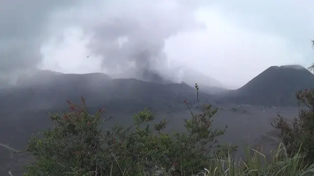 Aktivitas Gunung Bromo Berangsur Normal