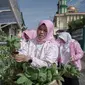 Kegiatan Urban Farming di Kelurahan Surabaya, Kecamatan Kedaton, Kota Bandar Lampung.