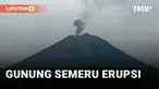 Gunung Semeru Erupsi