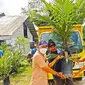 Petani sawit di Inragiri Hulur memperlihatkan bibit sawit unggul bersertifikat PTPN V yang dibeli secara online. (Liputan6.com/M Syukur)
