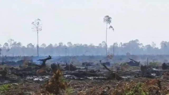 Liputan6 Siang | 2 | Kekerasan Sekolah, Asap Jambi, Riau Asap, Permainan Pemilu