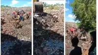 Warga Bengkalis Berebut Daging Sitaan Bea Cukai di Timbunan Sampah, Warganet: Apa Ngga Takut Ada Penyakitnya?. (Doc: Instagram |&nbsp;ndorobei.official)