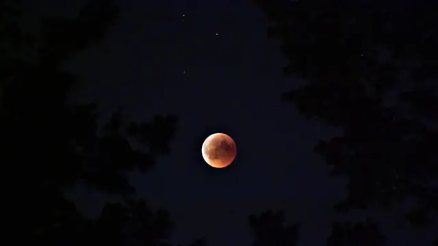 3 Fakta Menarik Gerhana Bulan Total Super Blood Moon 16 Mei 2022, Bertepatan Hari Raya Waisak