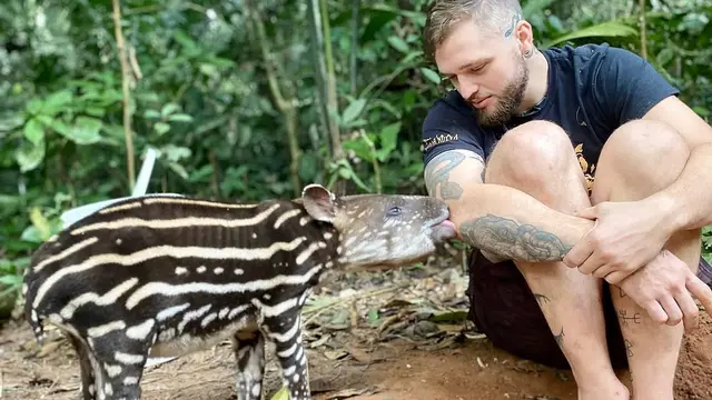 Aksi Pria Berduel dengan Anaconda Hijau