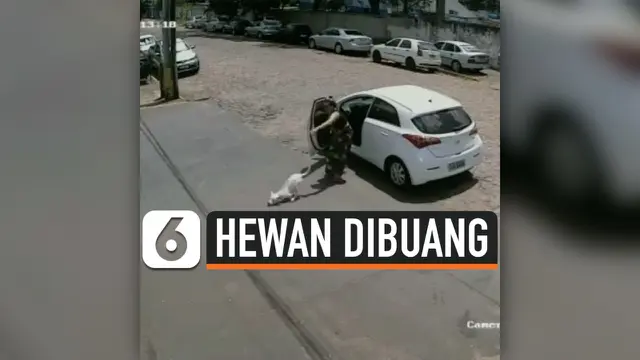 VIDEO: Viral Seekor Anjing Cacat Dibuang Majikannya