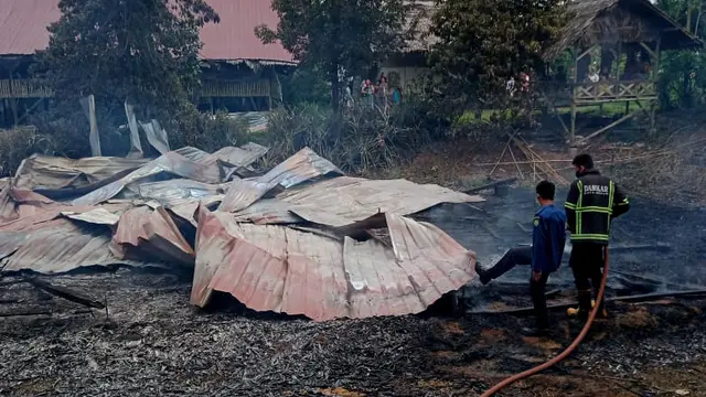 Kebakaran Kandang Ayam