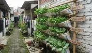 Cara Membuat Rak Sayur Gantung dari Karung Beras Bekas, Modal Nol Rupiah