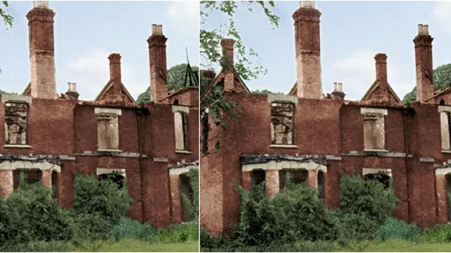 Courtesy Environtmentalgrafitti