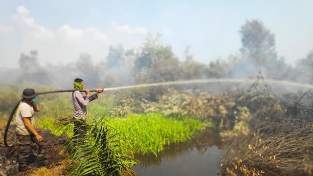 Polisi berusaha memadamkan kebakaran lahan di Pelalawan agar tak meluas.